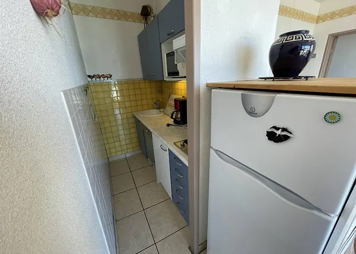 Saint-cyprien : T2 Cabine, Climatise, 6 Pers, Animaux Admis, Parking Securise - Fr-1-106-78