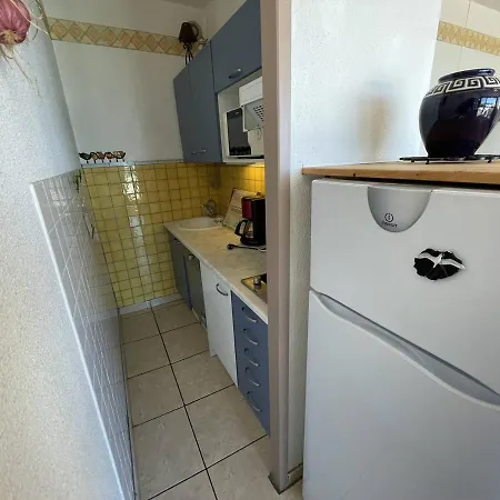 Saint-cyprien : T2 Cabine, Climatise, 6 Pers, Animaux Admis, Parking Securise - Fr-1-106-78