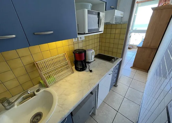 Saint-cyprien : T2 Cabine, Climatise, 6 Pers, Animaux Admis, Parking Securise - Fr-1-106-78 Lejlighed