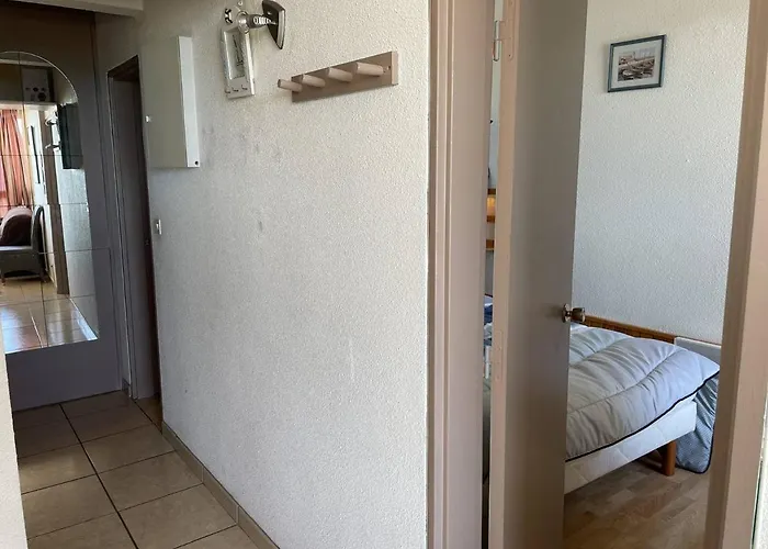 Saint-cyprien : T2 Cabine, Climatise, 6 Pers, Animaux Admis, Parking Securise - Fr-1-106-78 Lejlighed