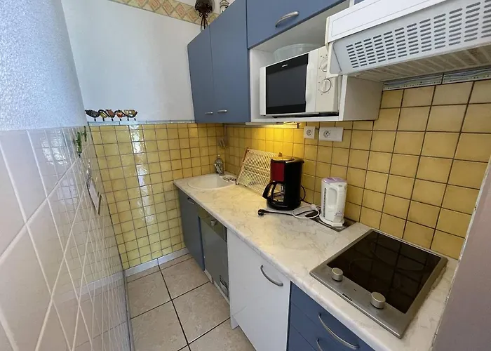 Saint-cyprien : T2 Cabine, Climatise, 6 Pers, Animaux Admis, Parking Securise - Fr-1-106-78 Lejlighed