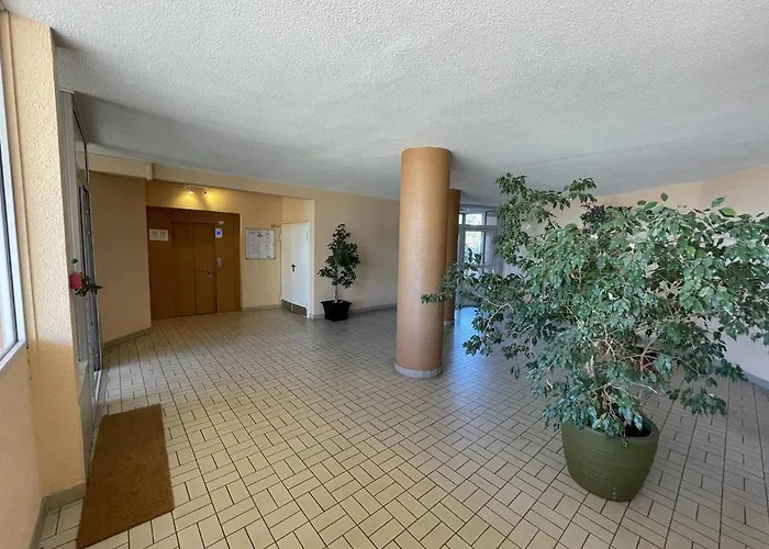 Saint-cyprien : T2 Cabine, Climatise, 6 Pers, Animaux Admis, Parking Securise - Fr-1-106-78 Saint-Cyprien (Pyrenees-Orientales)